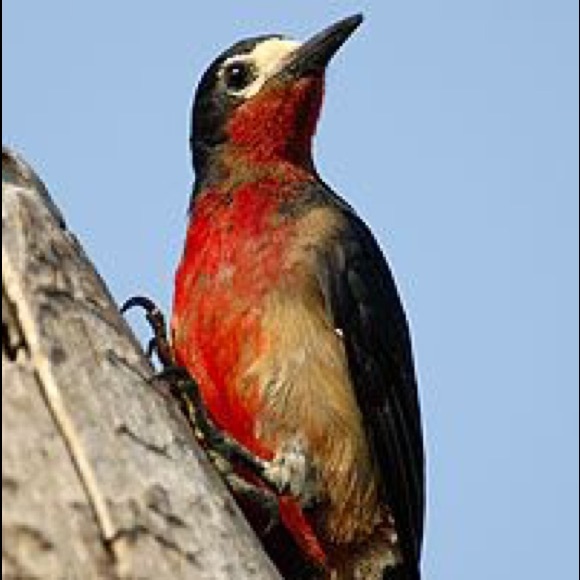 Meet your Posher, Sandra - Picture 8 of 8